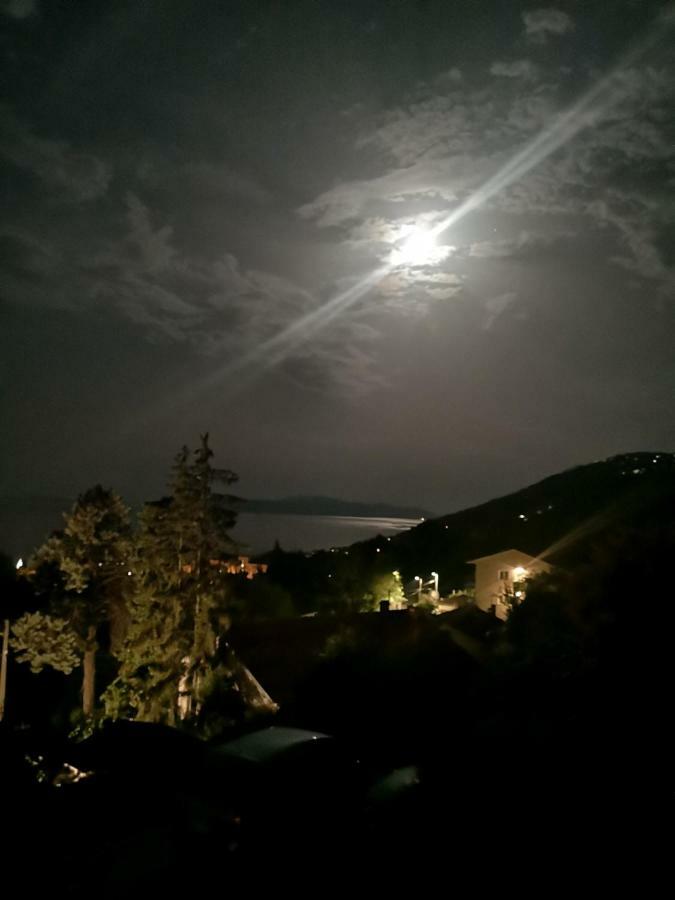 Apartments Villa Ceric Lovran Εξωτερικό φωτογραφία